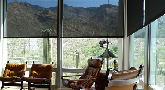 interior window shades