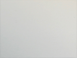 White01 White